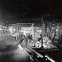 souvenirs en noir et blanc (624)